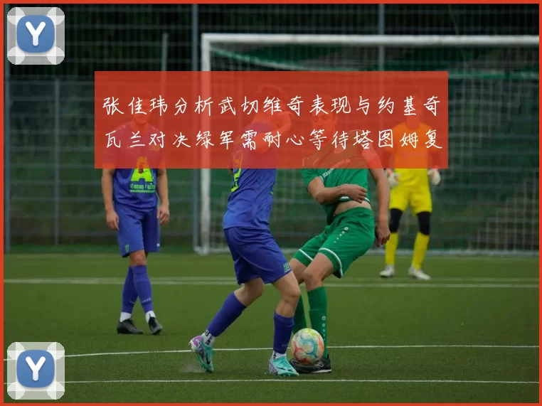张佳玮分析武切维奇表现与约基奇瓦兰对决绿军需耐心等待塔图姆复出